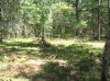 DSCF2326.jpg