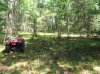 DSCF2327.jpg