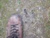DSCF2391.jpg
