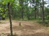 DSCF2361.jpg