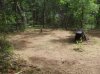 DSCF2345.jpg