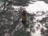 DSCF2333.jpg