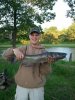 Catfish.jpg
