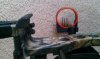 IMAG0466.jpg