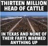 13 million.jpg
