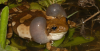 upload_2021-2-21_10-46-45.png
