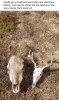 FB_IMG_1613755555188.jpeg