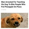 smart guy.jpeg
