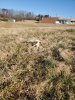 20210223_083551.jpg