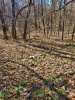 20210223_095259.jpg