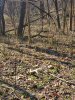 20210223_095303.jpg