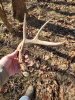 20210223_101938.jpg