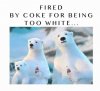 fired.jpg
