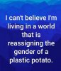img(10).jpeg