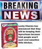 lucky charms.jpg