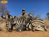 zebra 3.JPG