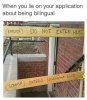 img.jpeg