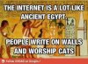 image.jpeg