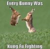 rabbit kick.jpg