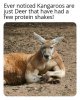 protein shakes.jpg