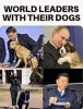 dogs.jpg