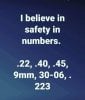 safety in numbers.jpg