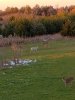 20181113_215057.jpg