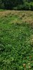 20190705_112952.jpg