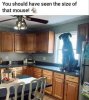 big mouse.jpg
