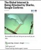 sharks.jpg