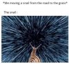 snail.jpg