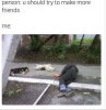 make friends.jpg