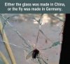 german fly.jpg