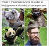 mammals.jpg