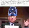 fan.jpg