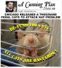 defund cats.jpg