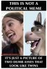 twins.jpg