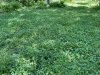 A5CB6615-4BC8-4F15-9740-BB3C53764183.jpeg