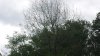 20210621_122221.jpg