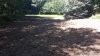 20210624_153655.jpg