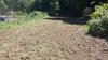 20210624_152046.jpg