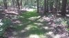 20210624_163007.jpg