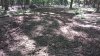 20210624_160741.jpg