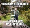 step ladder.jpg