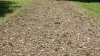 20210628_124450.jpg
