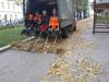 leaf removal.jpg