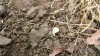 20210701_093826.jpg