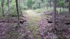 20210701_102718.jpg