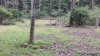 20210701_102619.jpg