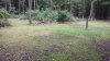 20210701_102601.jpg